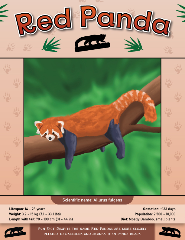 Red Panda Poster